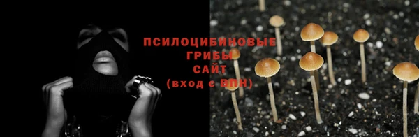 бошки Осташков