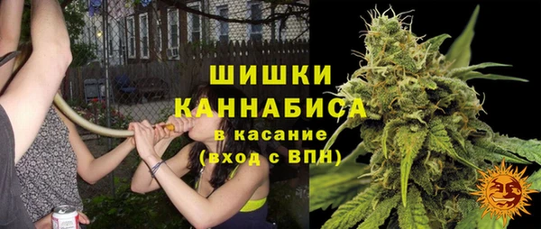 бошки Осташков