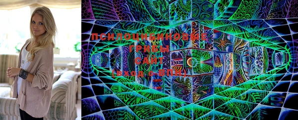 бошки Остров